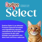 001_QSELECT_GATOS_CASTRADOS_FRANGO-04