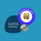 001_QSELECT_GATOS_CASTRADOS_FRANGO-05