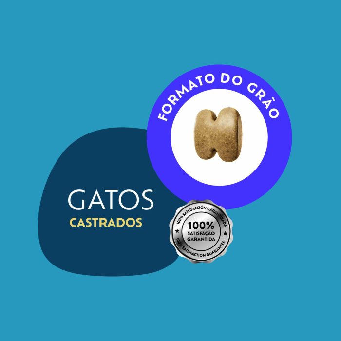 001_QSELECT_GATOS_CASTRADOS_FRANGO-05