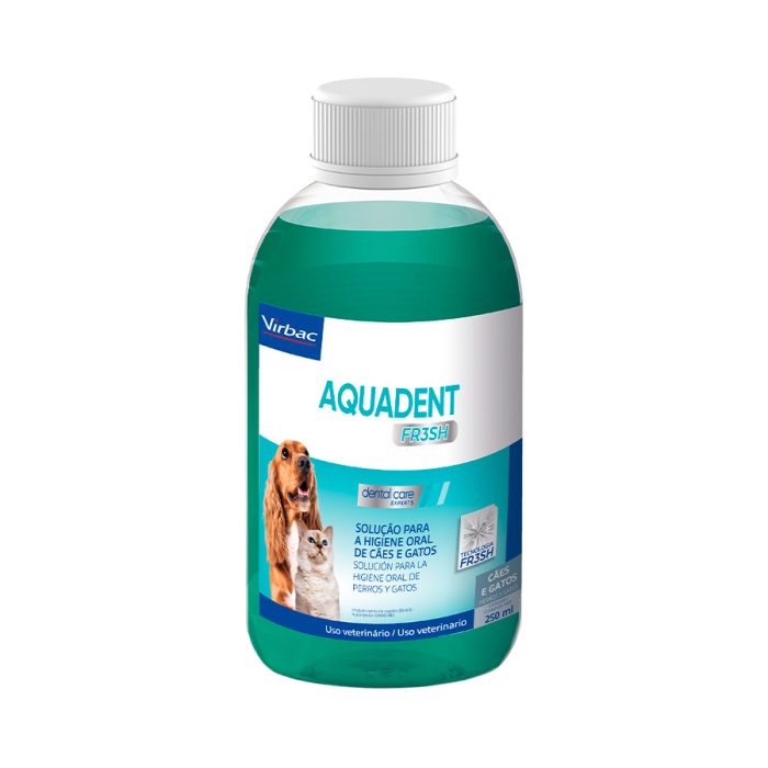 Aquadent.jpg