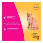 Racao-Quatree-Gourmet-Gatos-Castrados-Mix-De-Carnes