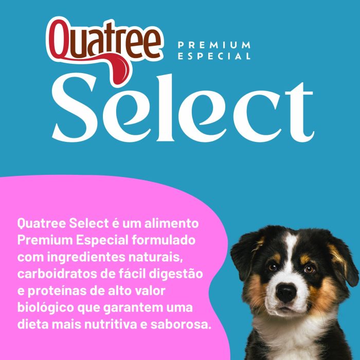 001_QSELECT_CÃES_FILHOTES_RMG_FRANGO-04