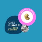 001_QSELECT_CÃES_FILHOTES_RMG_FRANGO-05