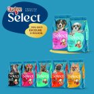 001_QSELECT_CÃES_FILHOTES_RP_FRANGO_10