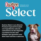 001_QSELECT_CÃES_POWER-04