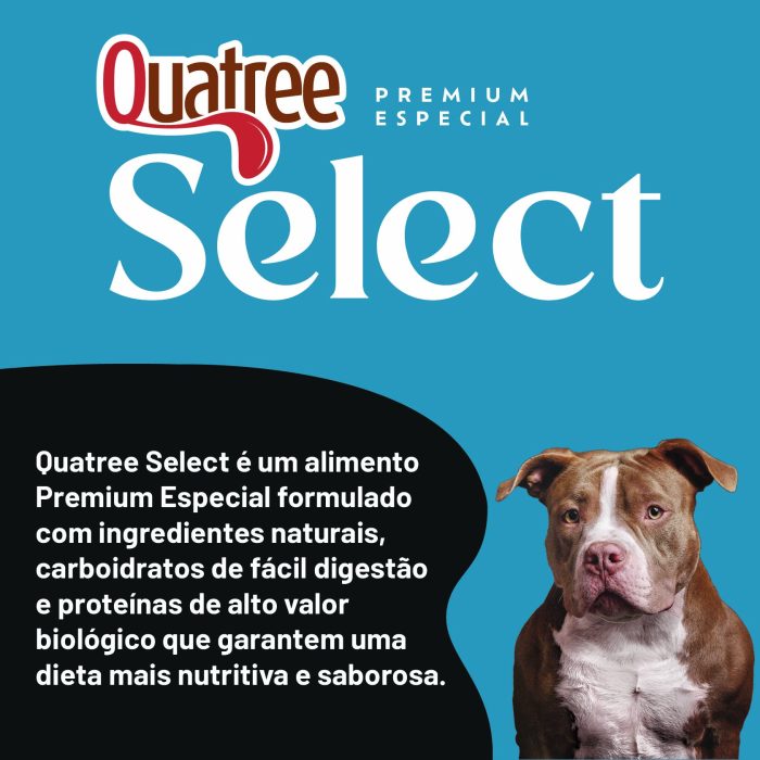 001_QSELECT_CÃES_POWER-04