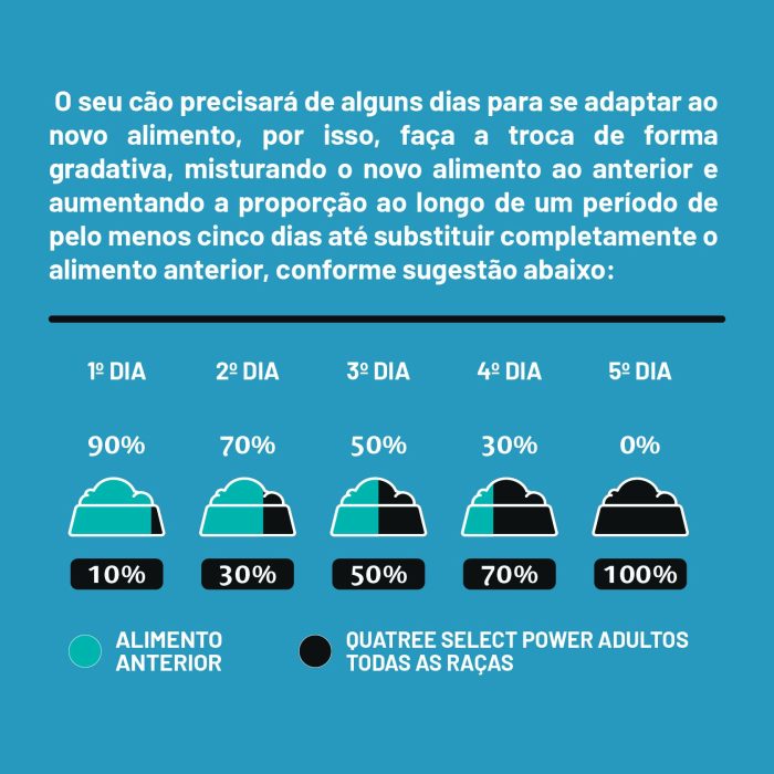 001_QSELECT_CÃES_POWER-07